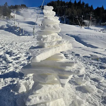 Appartamento Le Flocon Chaud Sauna