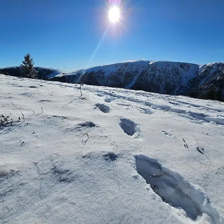 Le Flocon Chaud Sauna Appartamento La Bresse