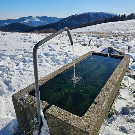 Le Flocon Chaud Sauna Appartamento La Bresse