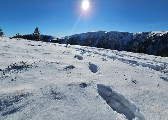 Le Flocon Chaud Sauna Lägenhet La Bresse