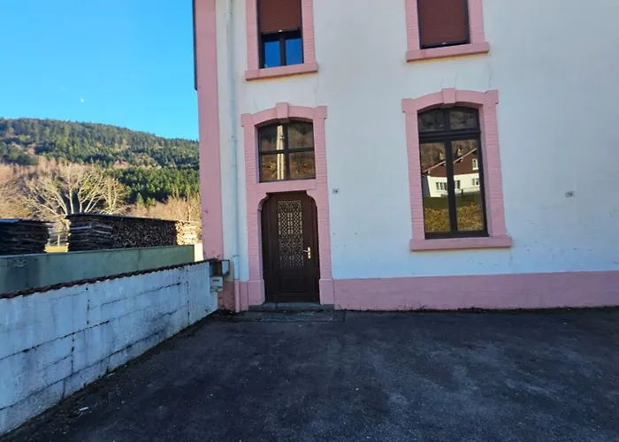 Lägenhet Le Flocon Chaud Sauna La Bresse